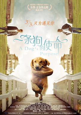 九色影视