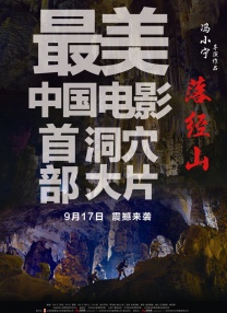 国内自拍成人网在线视频